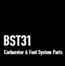 BST31 Carburetor and Fuel System Parts